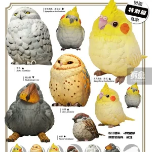 動物星球-心寬體胖鳥類特別篇_Cover