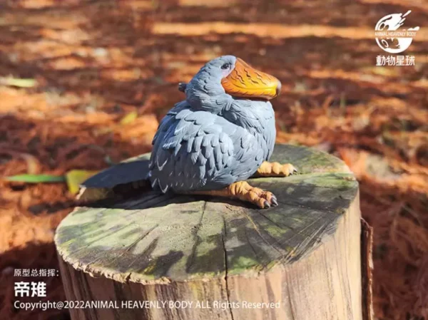動物星球-心寬體胖鳥類特別篇_鯨頭鵲