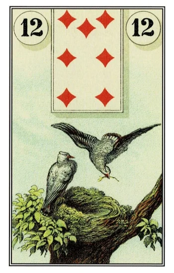 雷諾曼卡|鳥(Birds)|12