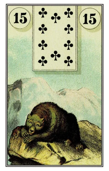 雷諾曼卡|熊(Bear)|15