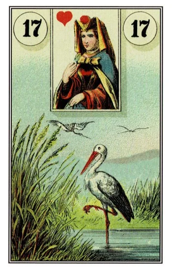 雷諾曼卡|鸛(Stork)|17